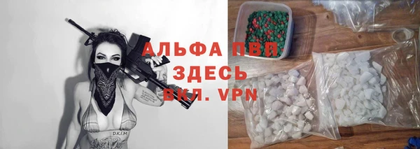 гашик Алексин