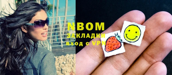 шишки Няндома